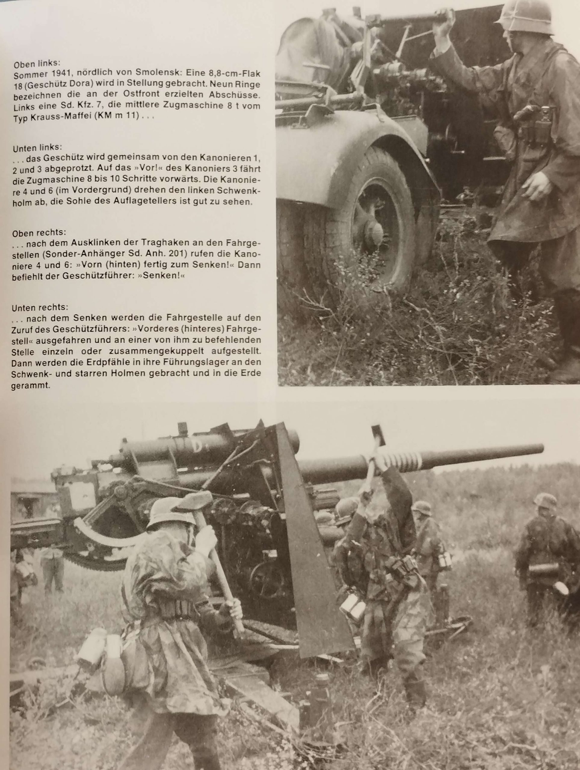 here-at-buy-die-88-flak-im-erdkampf-einsatz-sale_4.jpg